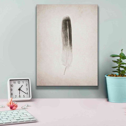 Image of 'Feather II B&W' by Debra Van Swearingen, Canvas Wall Art,12 x 16