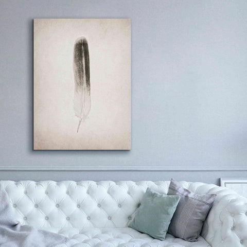 Image of 'Feather II B&W' by Debra Van Swearingen, Canvas Wall Art,40 x 54