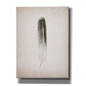 'Feather II B&W' by Debra Van Swearingen, Canvas Wall Art,12x16x1.1x0,20x24x1.1x0,26x30x1.74x0,40x54x1.74x0