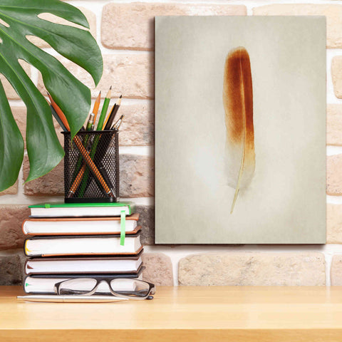 Image of 'Feather II' by Debra Van Swearingen, Canvas Wall Art,12 x 16