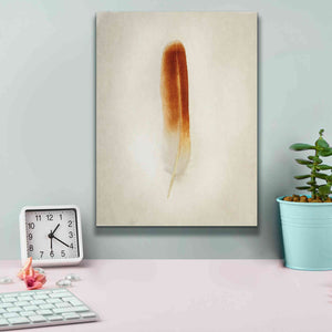 'Feather II' by Debra Van Swearingen, Canvas Wall Art,12 x 16