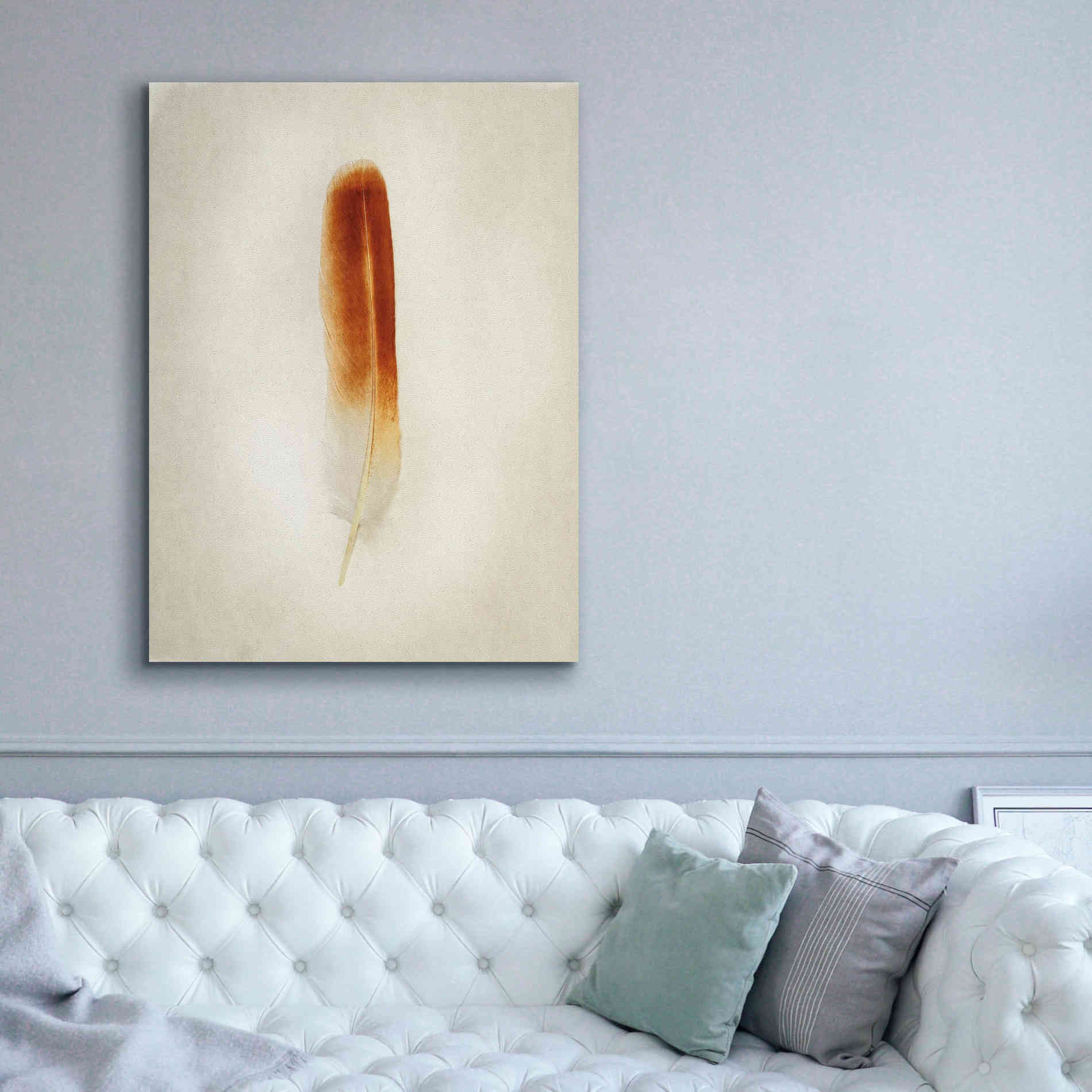 'Feather II' by Debra Van Swearingen, Canvas Wall Art,40 x 54