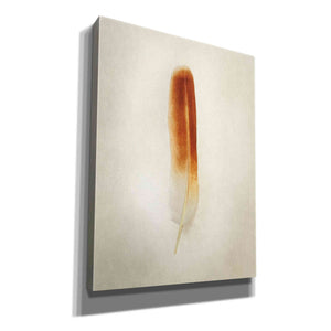 'Feather II' by Debra Van Swearingen, Canvas Wall Art,12x16x1.1x0,20x24x1.1x0,26x30x1.74x0,40x54x1.74x0