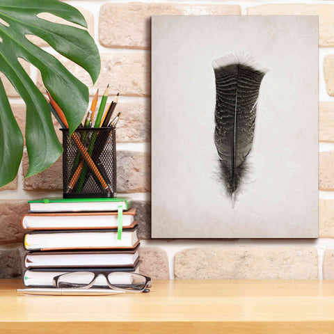 Image of 'Feather III B&W' by Debra Van Swearingen, Canvas Wall Art,12 x 16