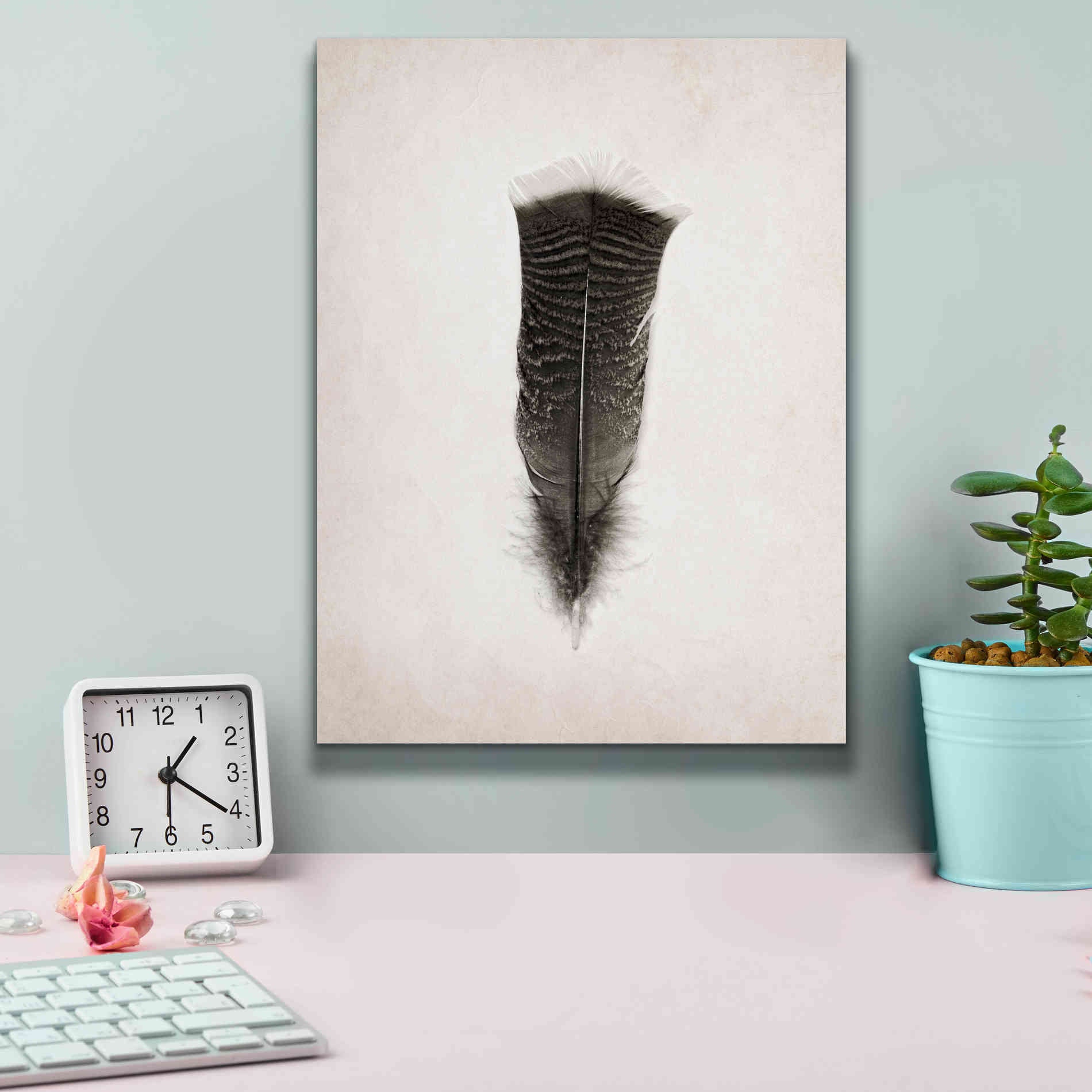 'Feather III B&W' by Debra Van Swearingen, Canvas Wall Art,12 x 16