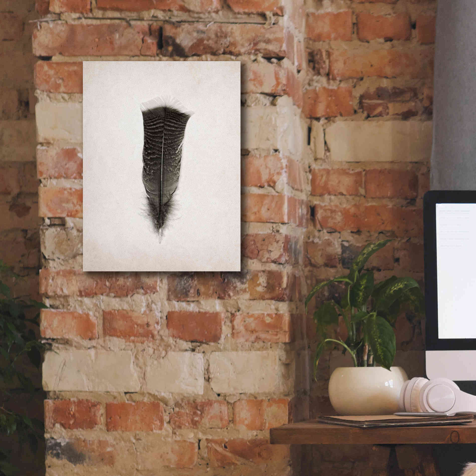 'Feather III B&W' by Debra Van Swearingen, Canvas Wall Art,12 x 16