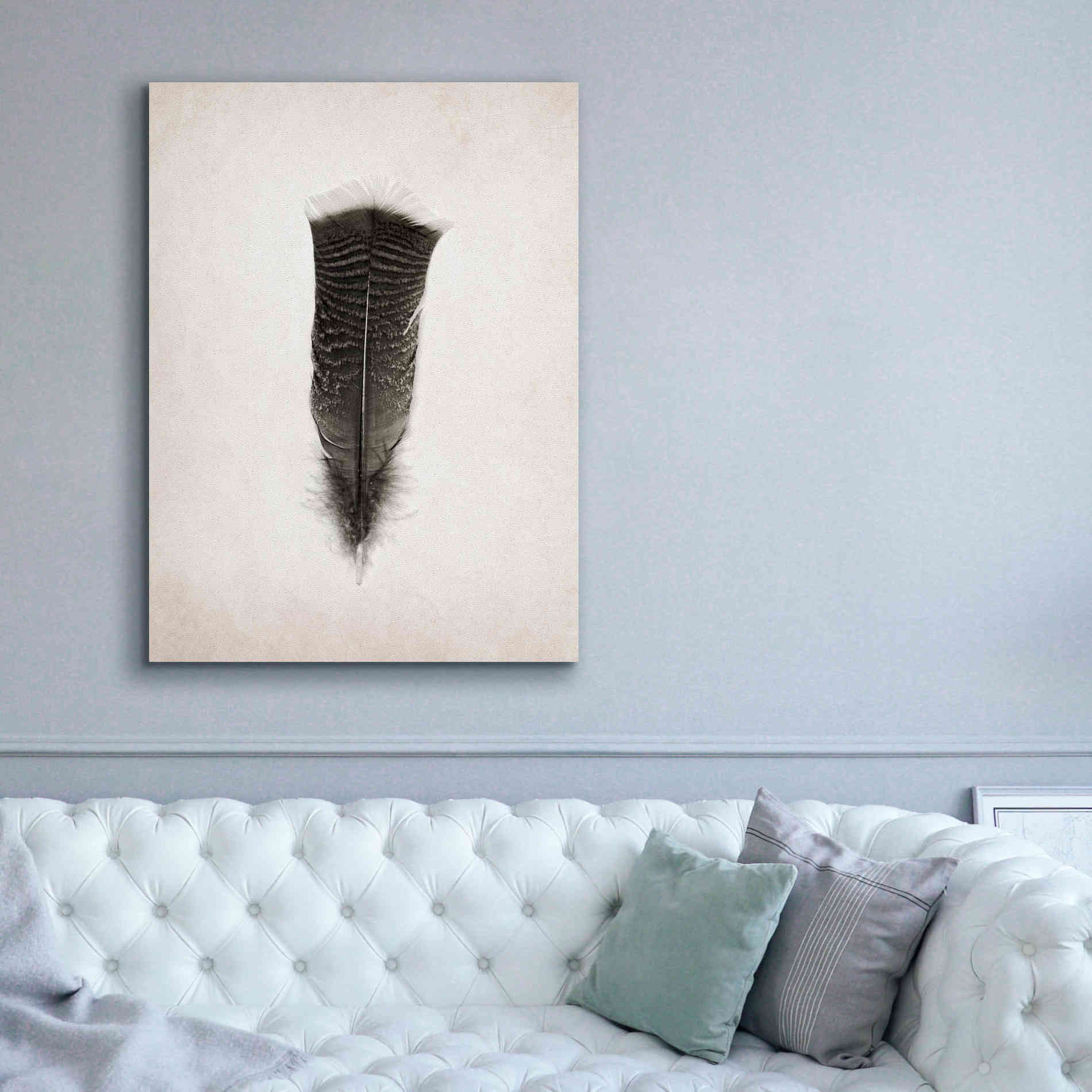 'Feather III B&W' by Debra Van Swearingen, Canvas Wall Art,40 x 54