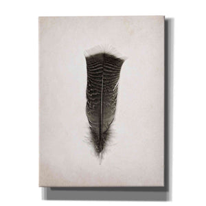 'Feather III B&W' by Debra Van Swearingen, Canvas Wall Art,12x16x1.1x0,20x24x1.1x0,26x30x1.74x0,40x54x1.74x0