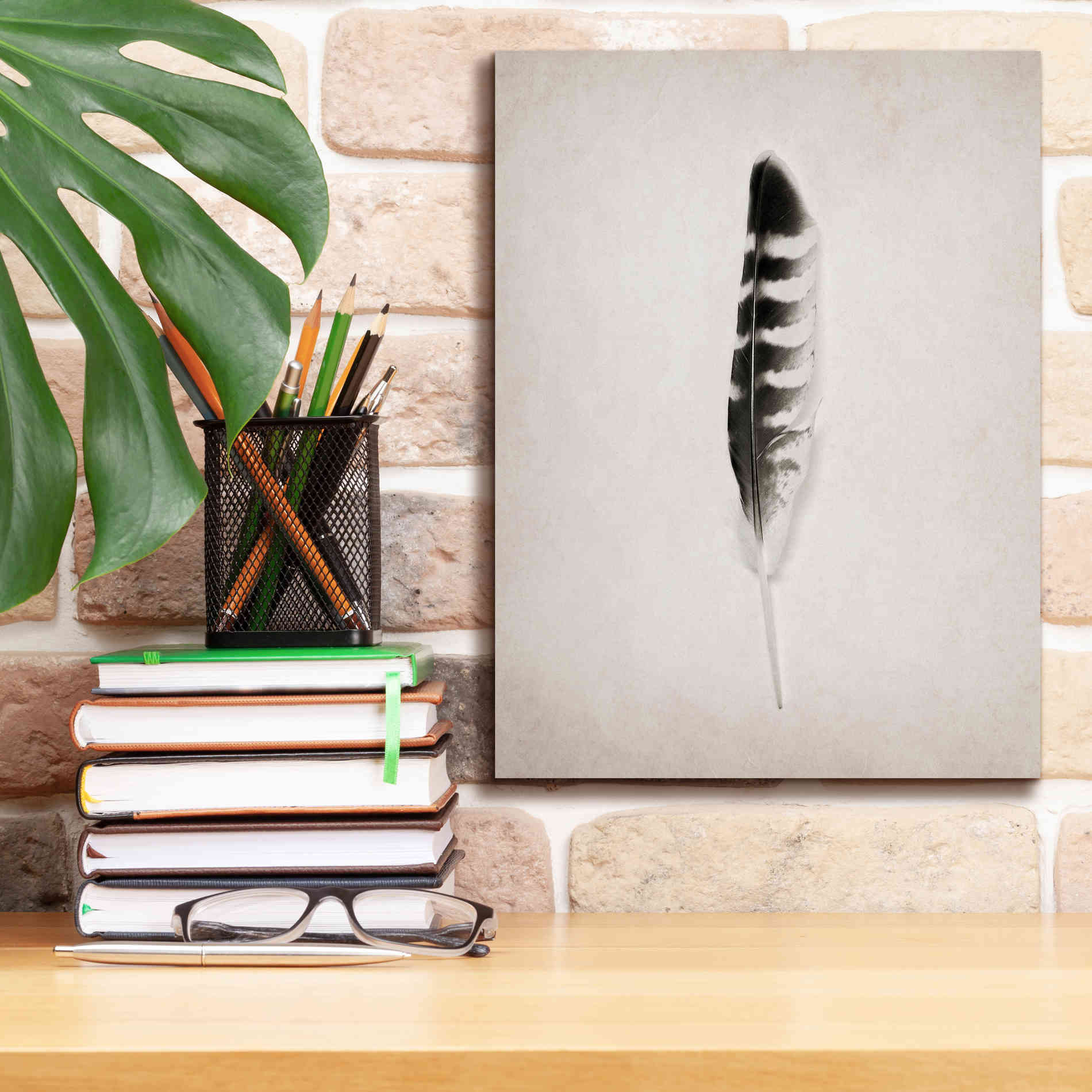 'Feather IV B&W' by Debra Van Swearingen, Canvas Wall Art,12 x 16