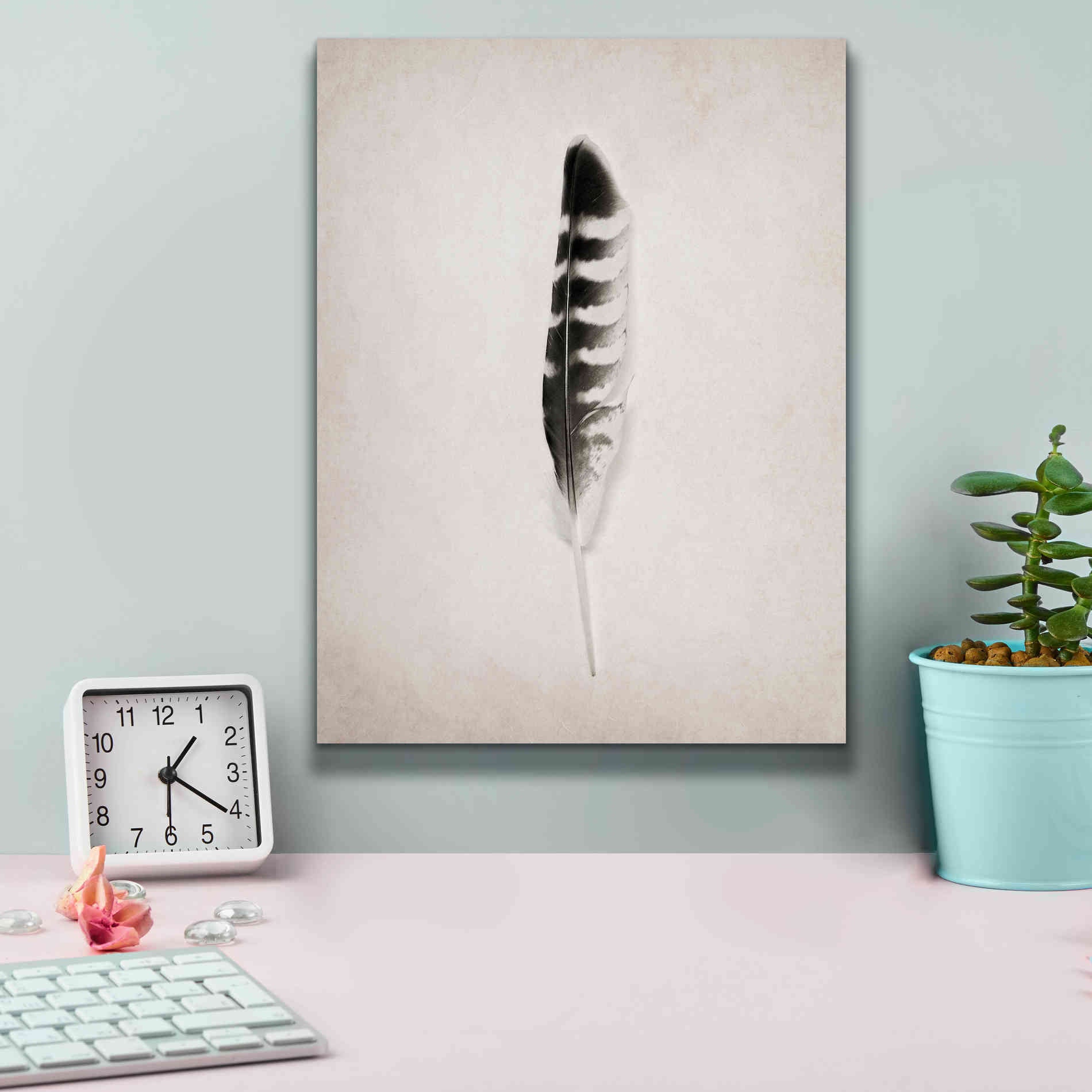 'Feather IV B&W' by Debra Van Swearingen, Canvas Wall Art,12 x 16