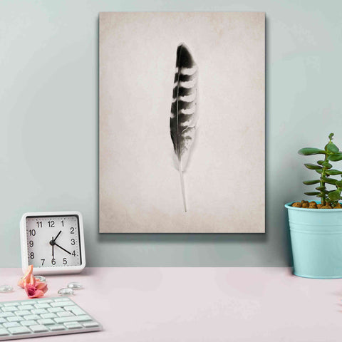 Image of 'Feather IV B&W' by Debra Van Swearingen, Canvas Wall Art,12 x 16