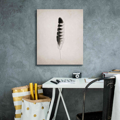 Image of 'Feather IV B&W' by Debra Van Swearingen, Canvas Wall Art,20 x 24