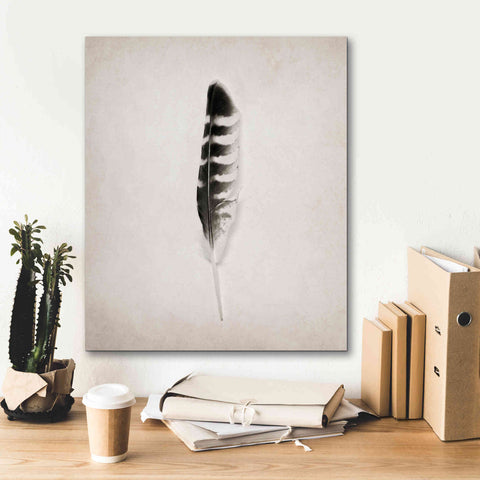 Image of 'Feather IV B&W' by Debra Van Swearingen, Canvas Wall Art,20 x 24