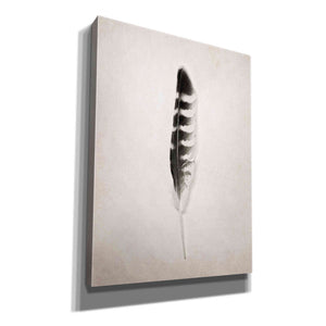 'Feather IV B&W' by Debra Van Swearingen, Canvas Wall Art,12x16x1.1x0,20x24x1.1x0,26x30x1.74x0,40x54x1.74x0