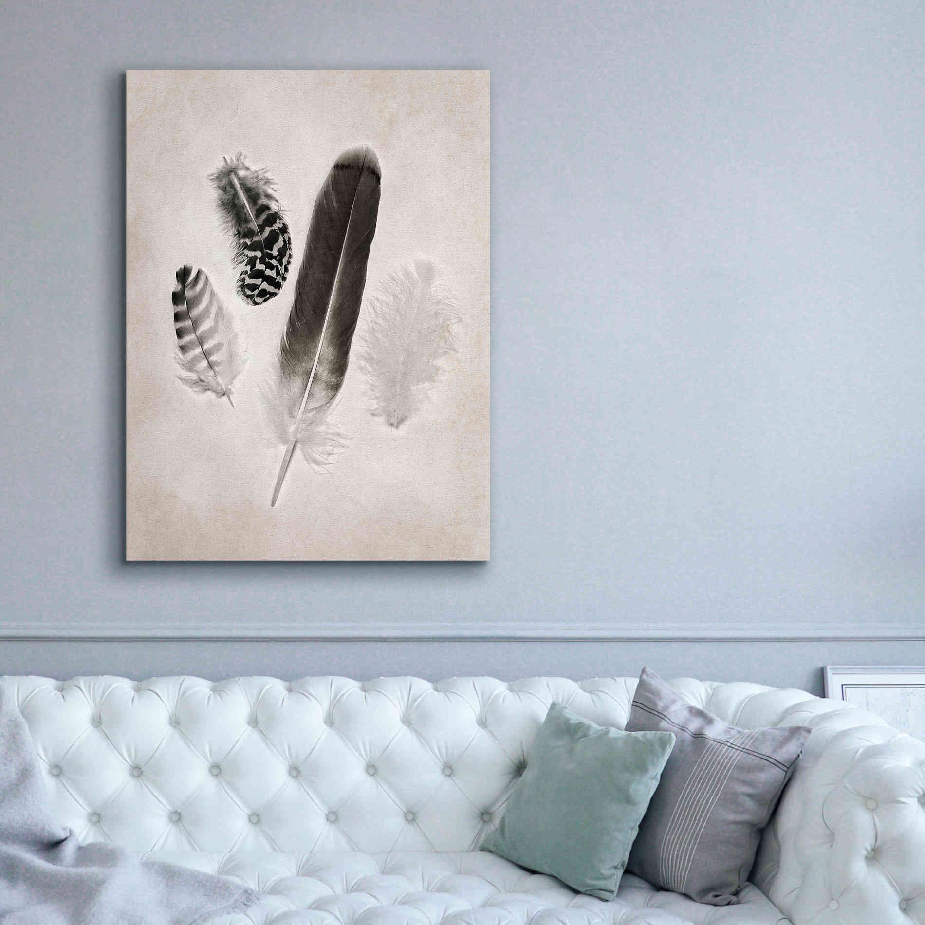 'Feather Group I B&W' by Debra Van Swearingen, Canvas Wall Art,40 x 54
