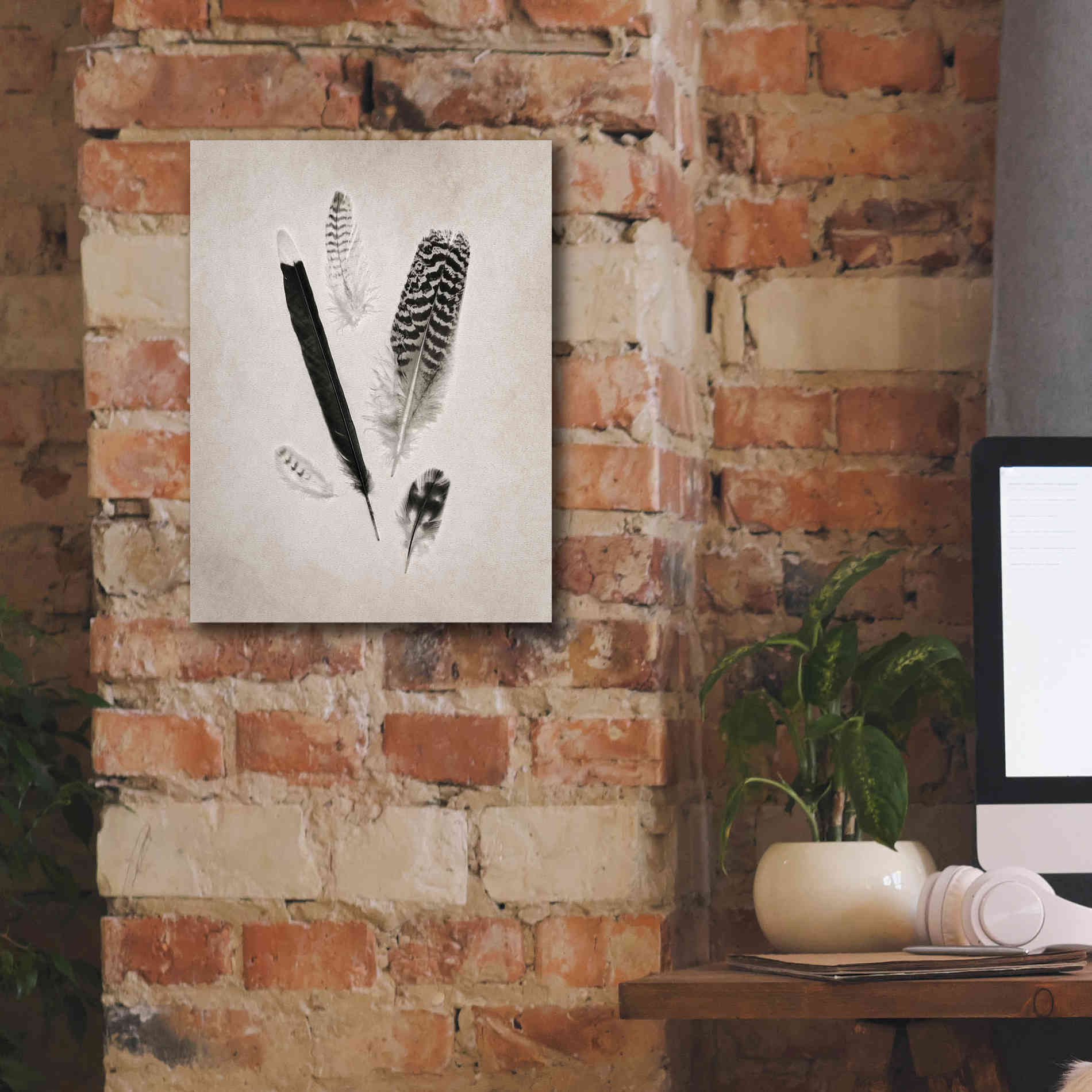 'Feather Group II B&W' by Debra Van Swearingen, Canvas Wall Art,12 x 16