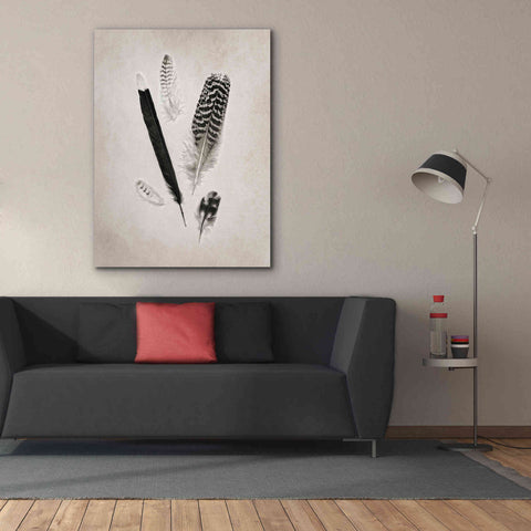 Image of 'Feather Group II B&W' by Debra Van Swearingen, Canvas Wall Art,40 x 54