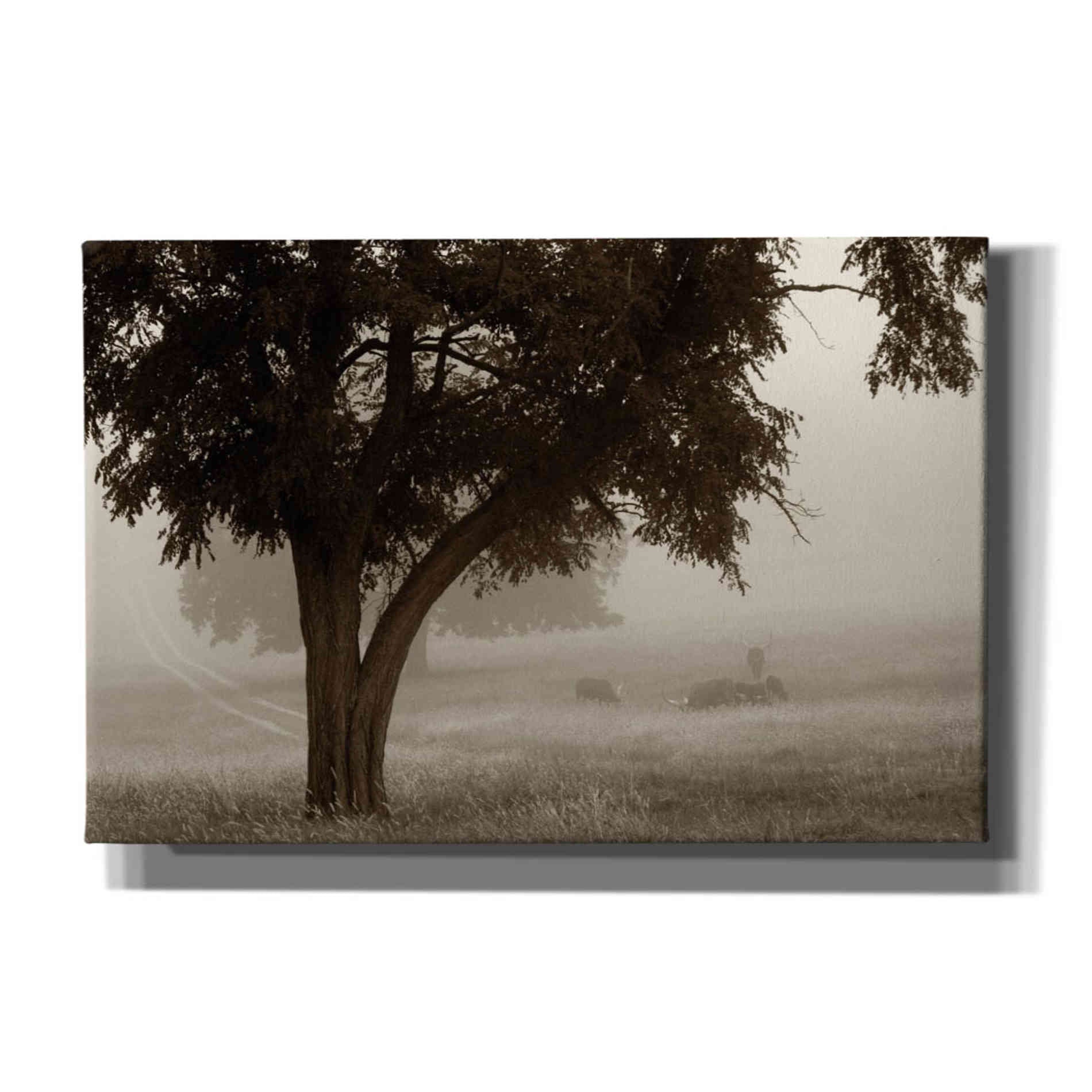 'Calm Mist' by Debra Van Swearingen, Canvas Wall Art,18x12x1.1x0,26x18x1.1x0,40x26x1.74x0,60x40x1.74x0