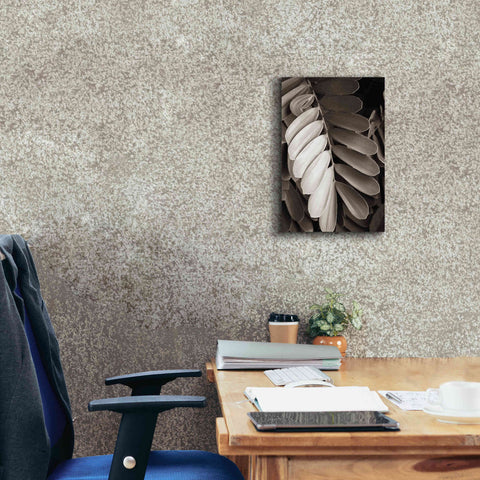 Image of 'Tropical Plant I' by Debra Van Swearingen, Canvas Wall Art,12 x 18