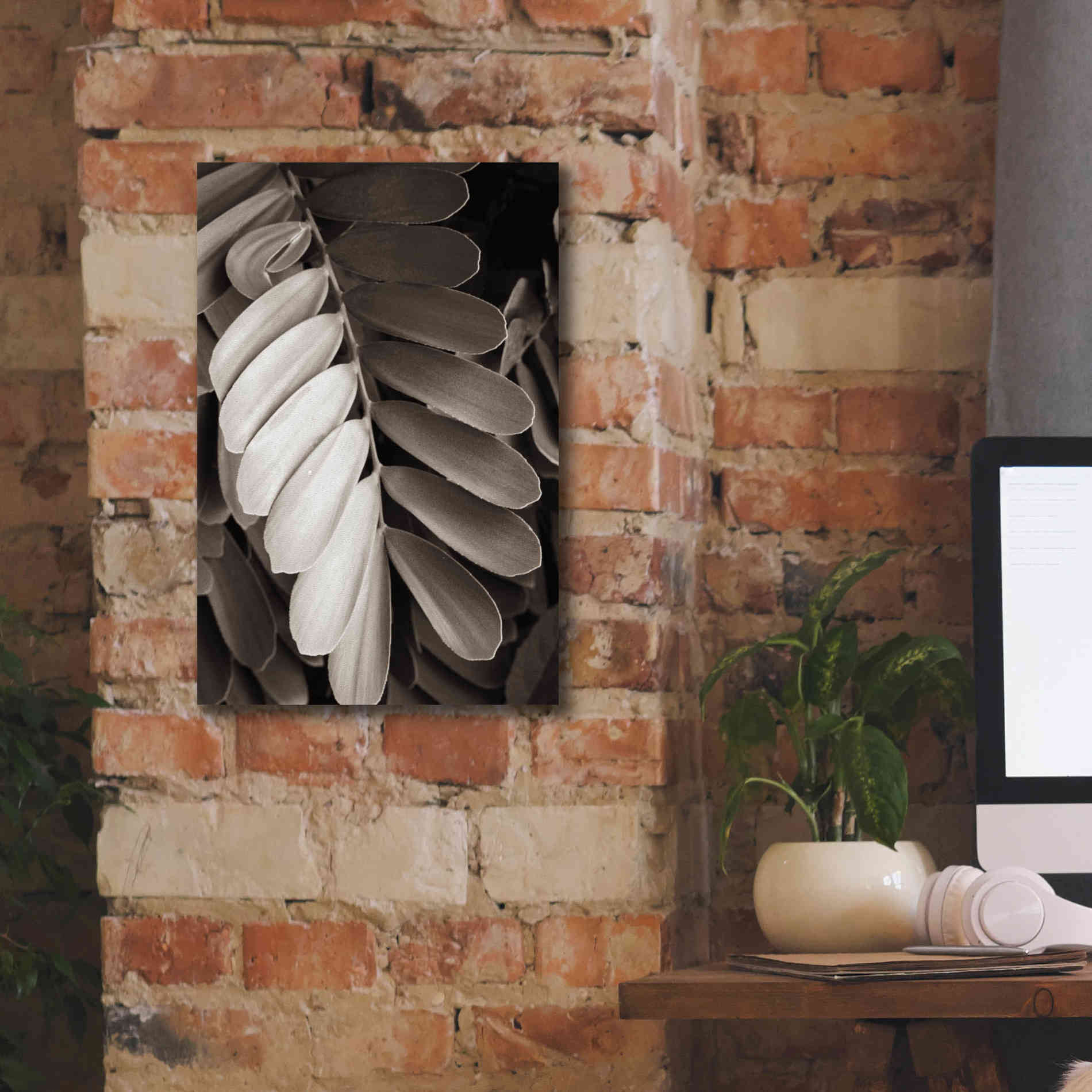 'Tropical Plant I' by Debra Van Swearingen, Canvas Wall Art,12 x 18