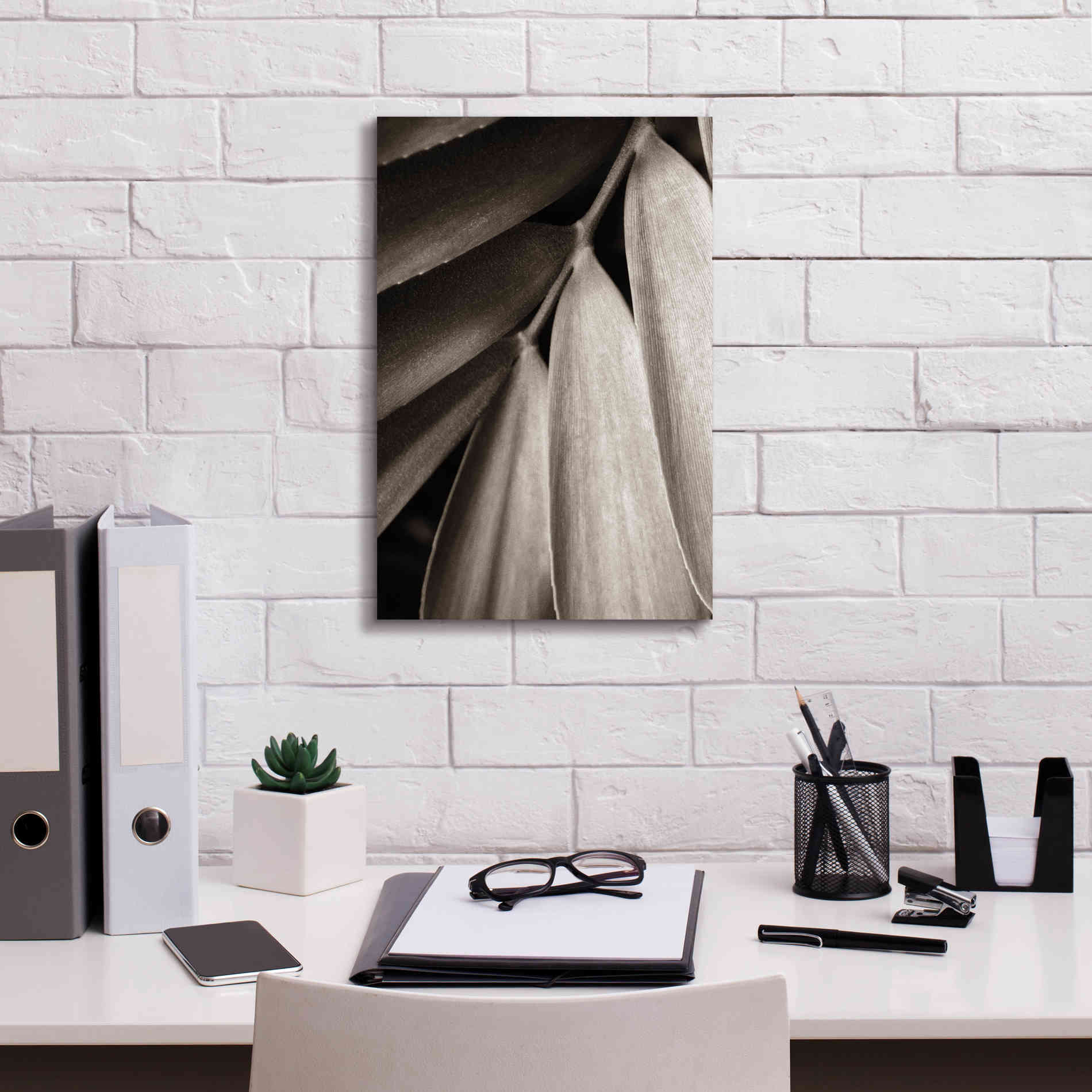 'Tropical Plant II' by Debra Van Swearingen, Canvas Wall Art,12 x 18