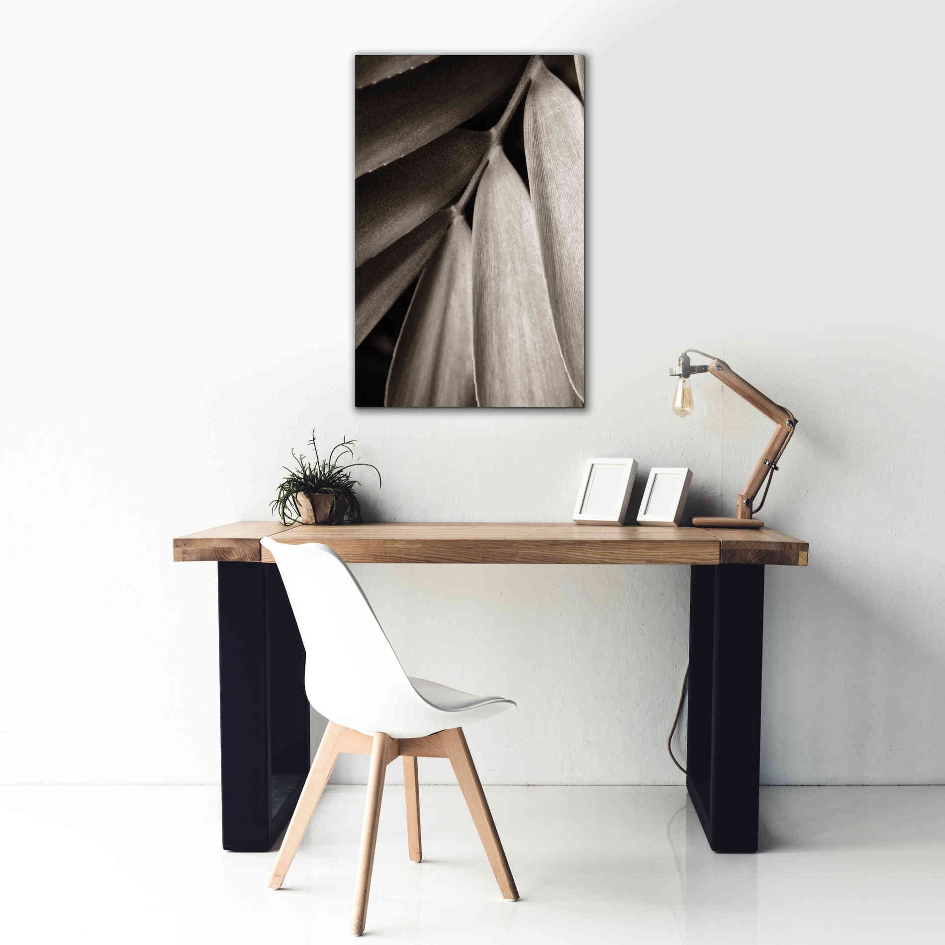 'Tropical Plant II' by Debra Van Swearingen, Canvas Wall Art,26 x 40