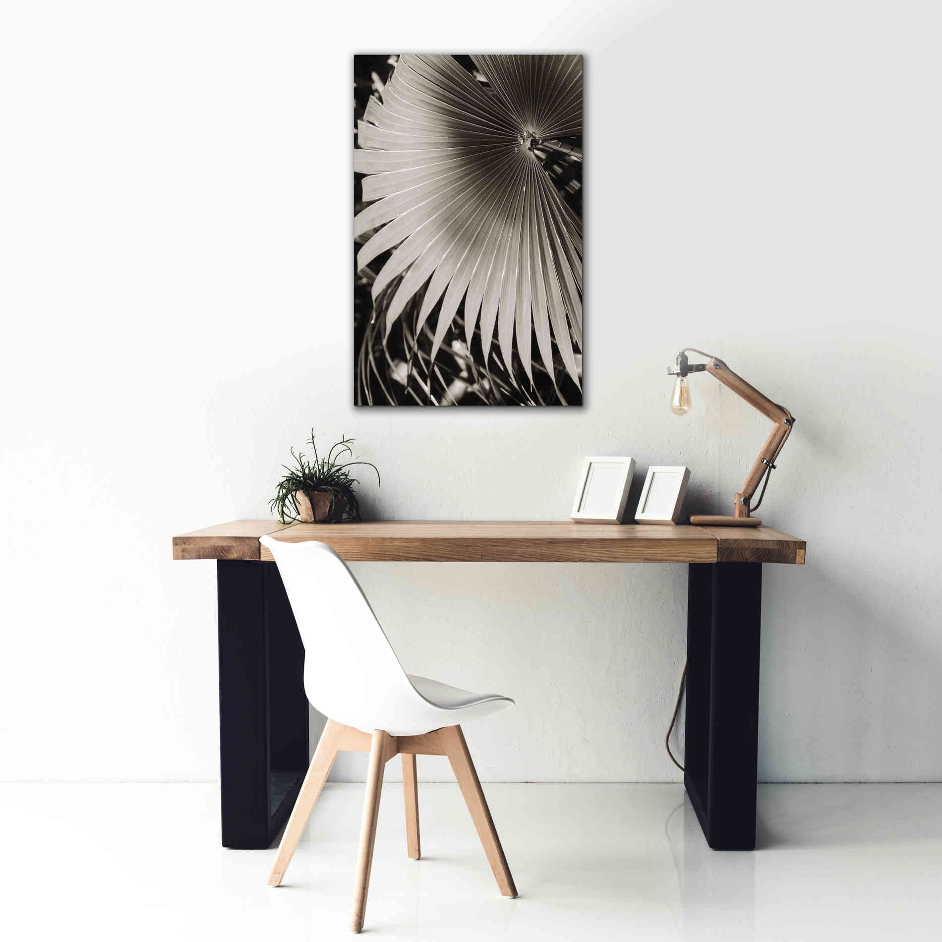 'Palm Frond 2' by Debra Van Swearingen, Canvas Wall Art,26 x 40