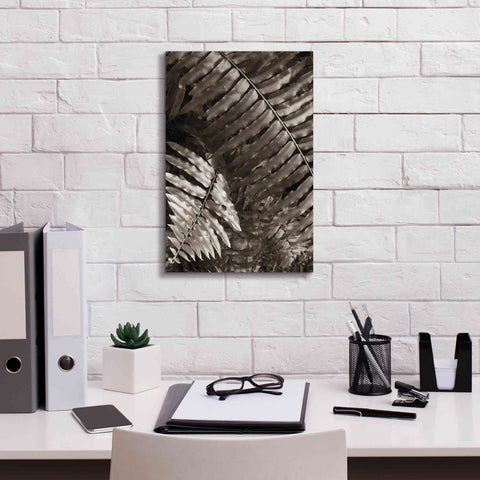 Image of 'Fern I' by Debra Van Swearingen, Canvas Wall Art,12 x 18
