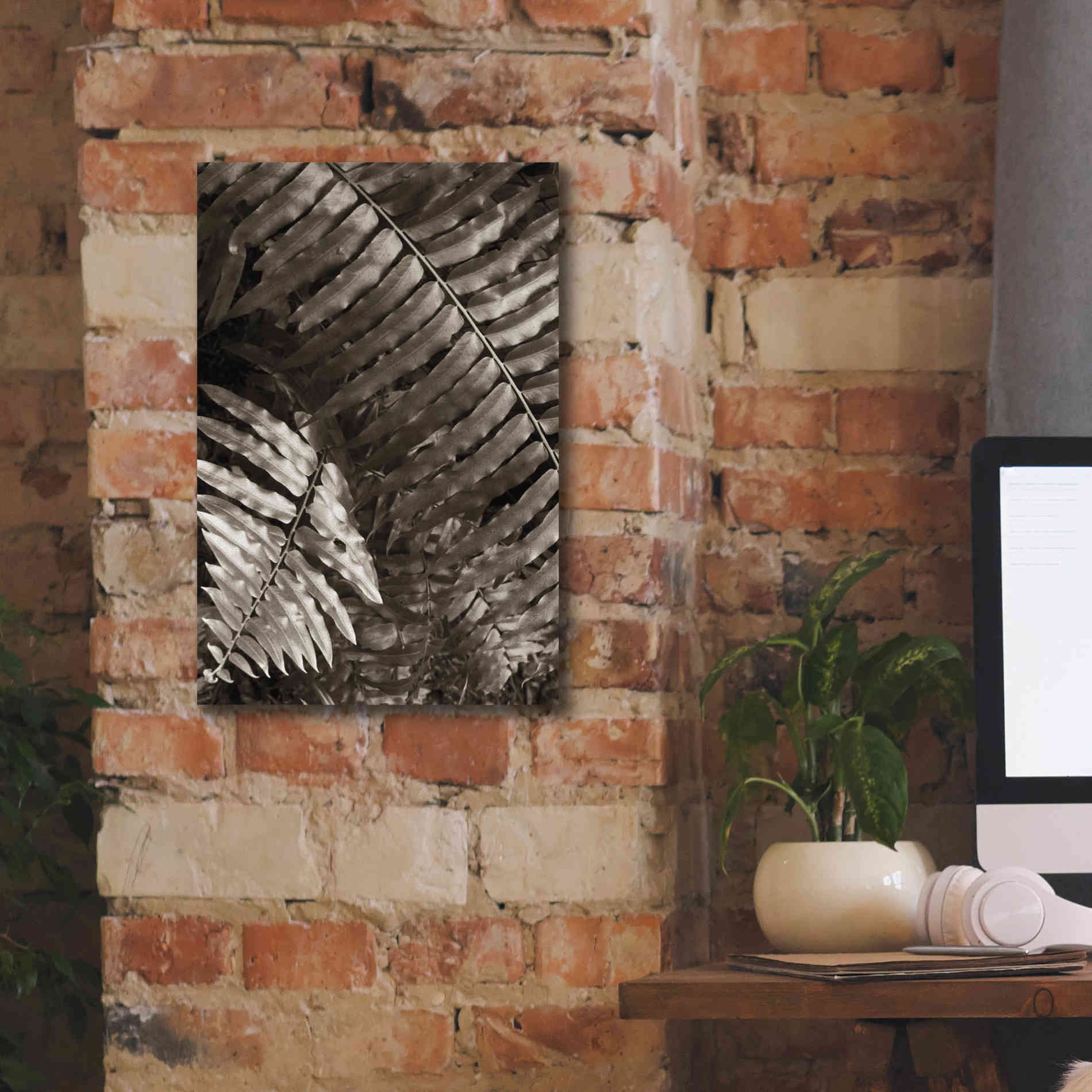 'Fern I' by Debra Van Swearingen, Canvas Wall Art,12 x 18