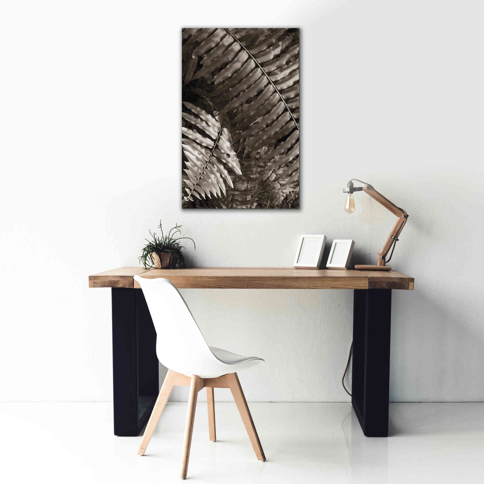 'Fern I' by Debra Van Swearingen, Canvas Wall Art,26 x 40