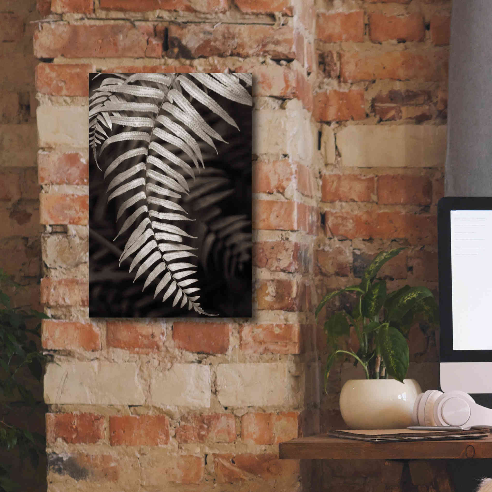 'Fern II' by Debra Van Swearingen, Canvas Wall Art,12 x 18