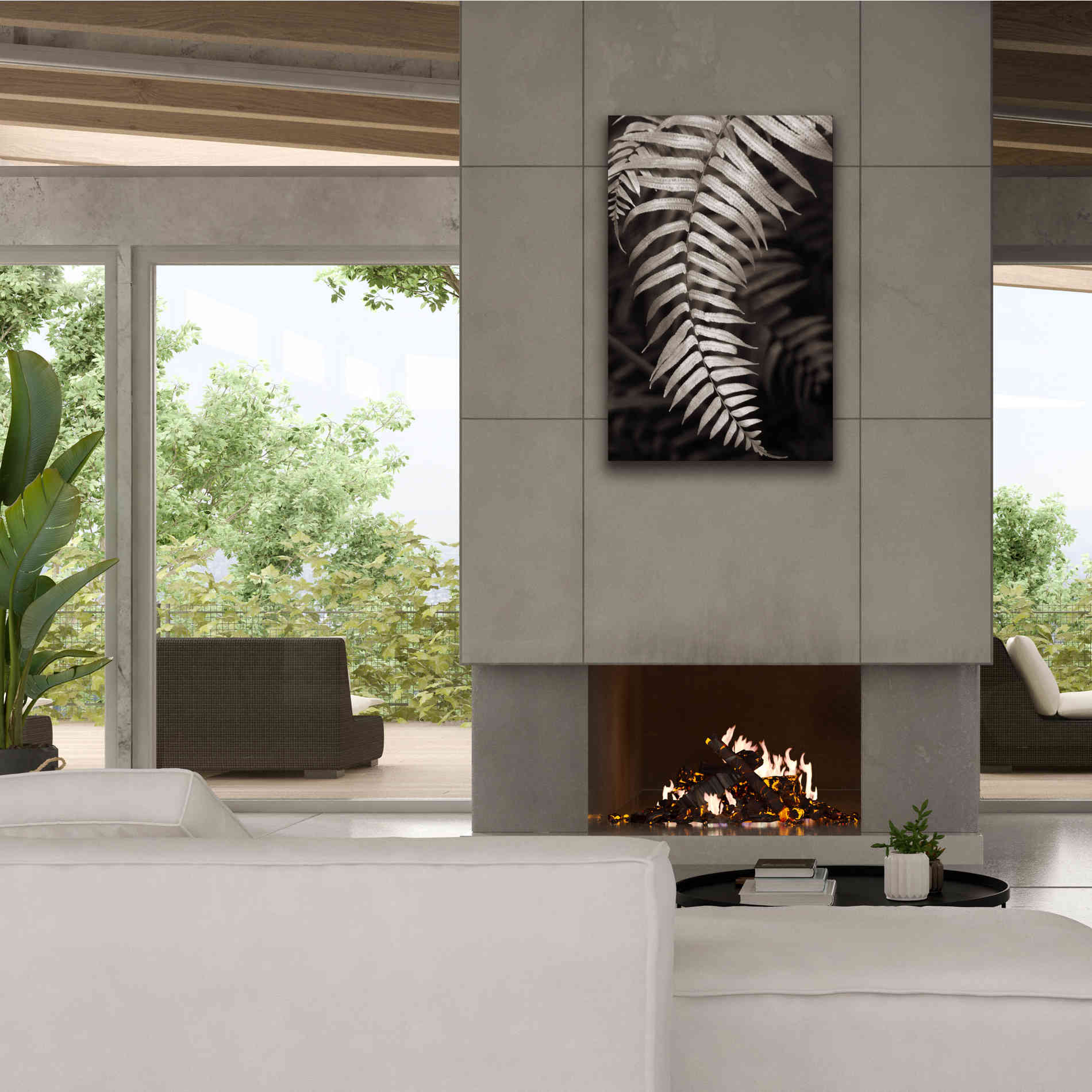 'Fern II' by Debra Van Swearingen, Canvas Wall Art,26 x 40