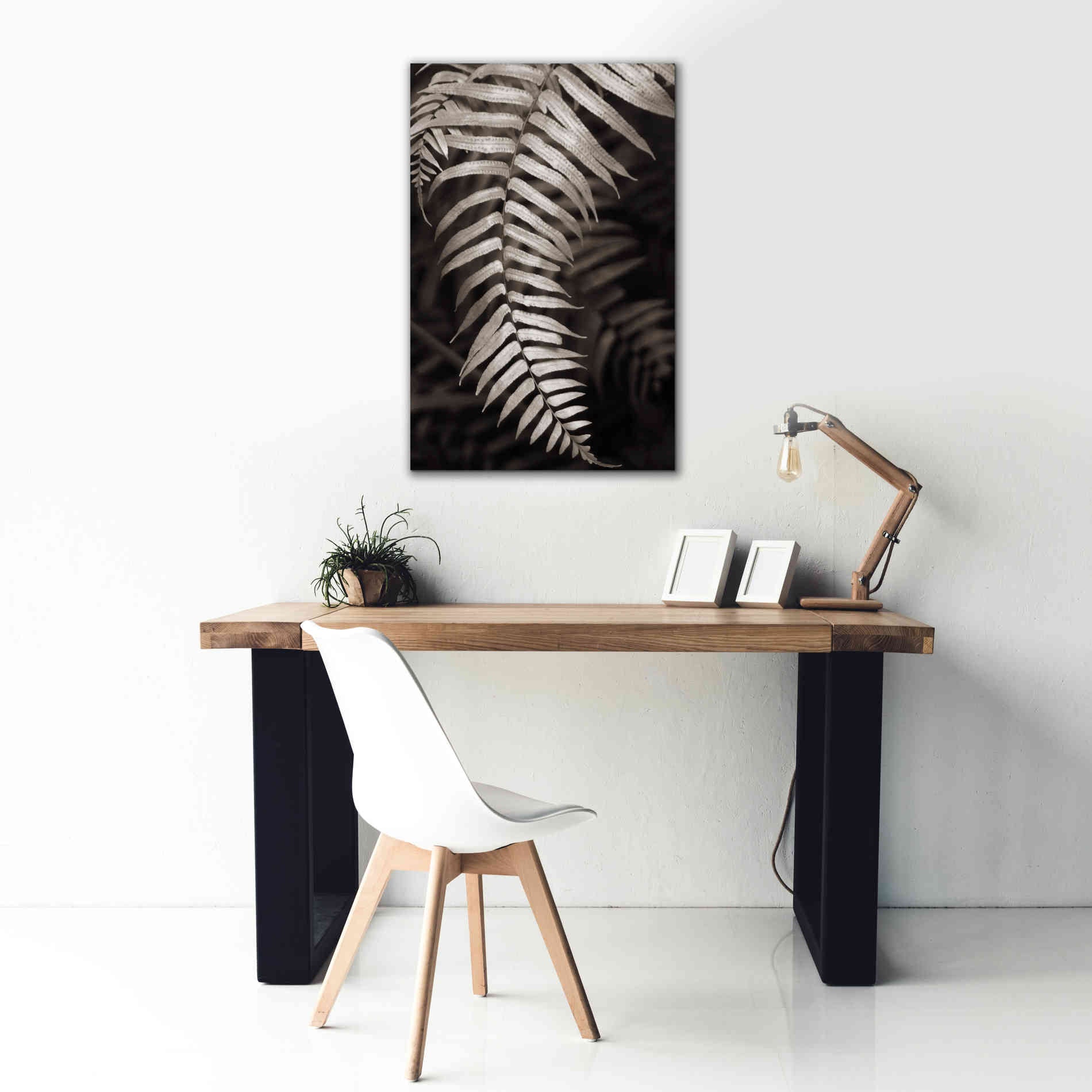 'Fern II' by Debra Van Swearingen, Canvas Wall Art,26 x 40