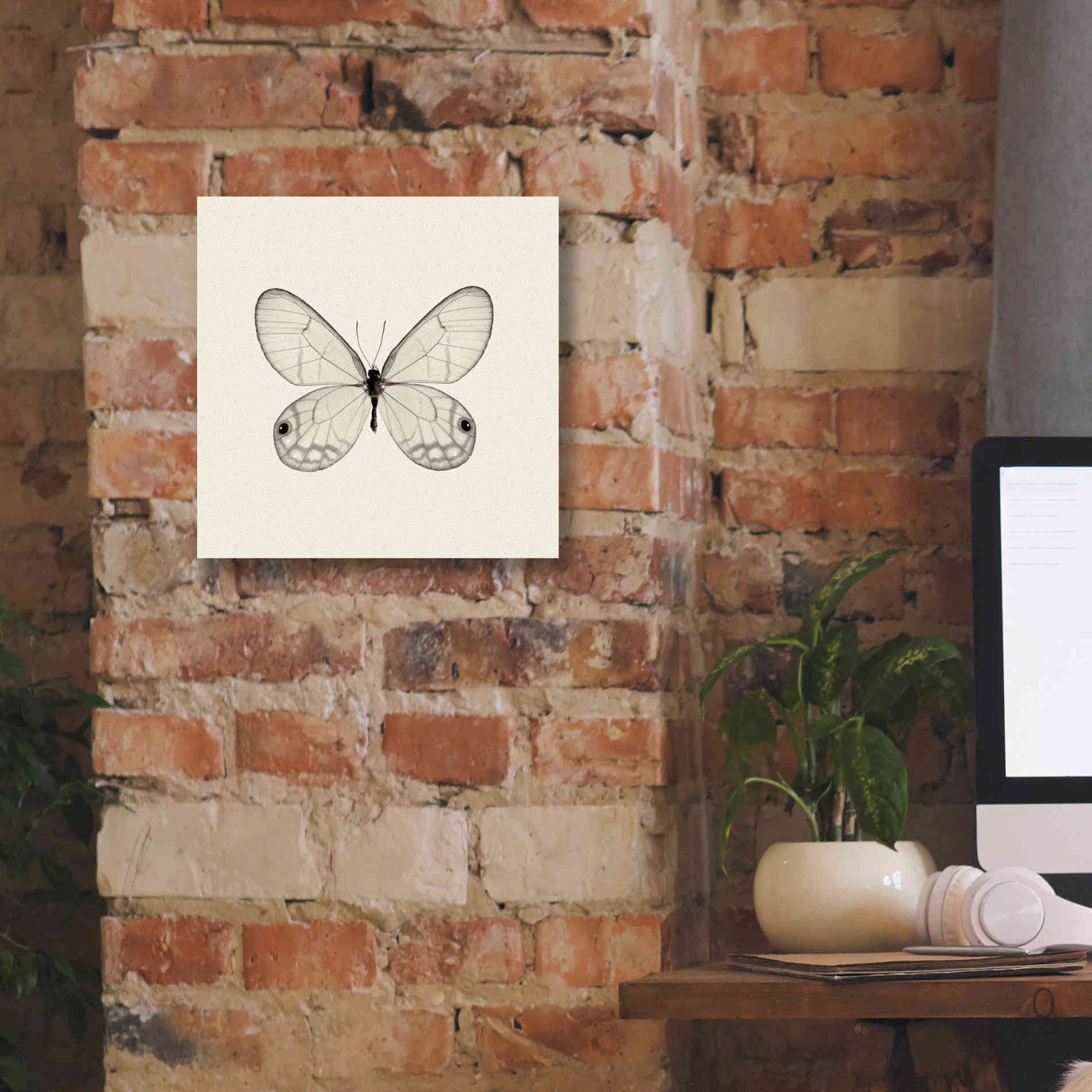 'Butterfly I B&W' by Debra Van Swearingen, Canvas Wall Art,12 x 12