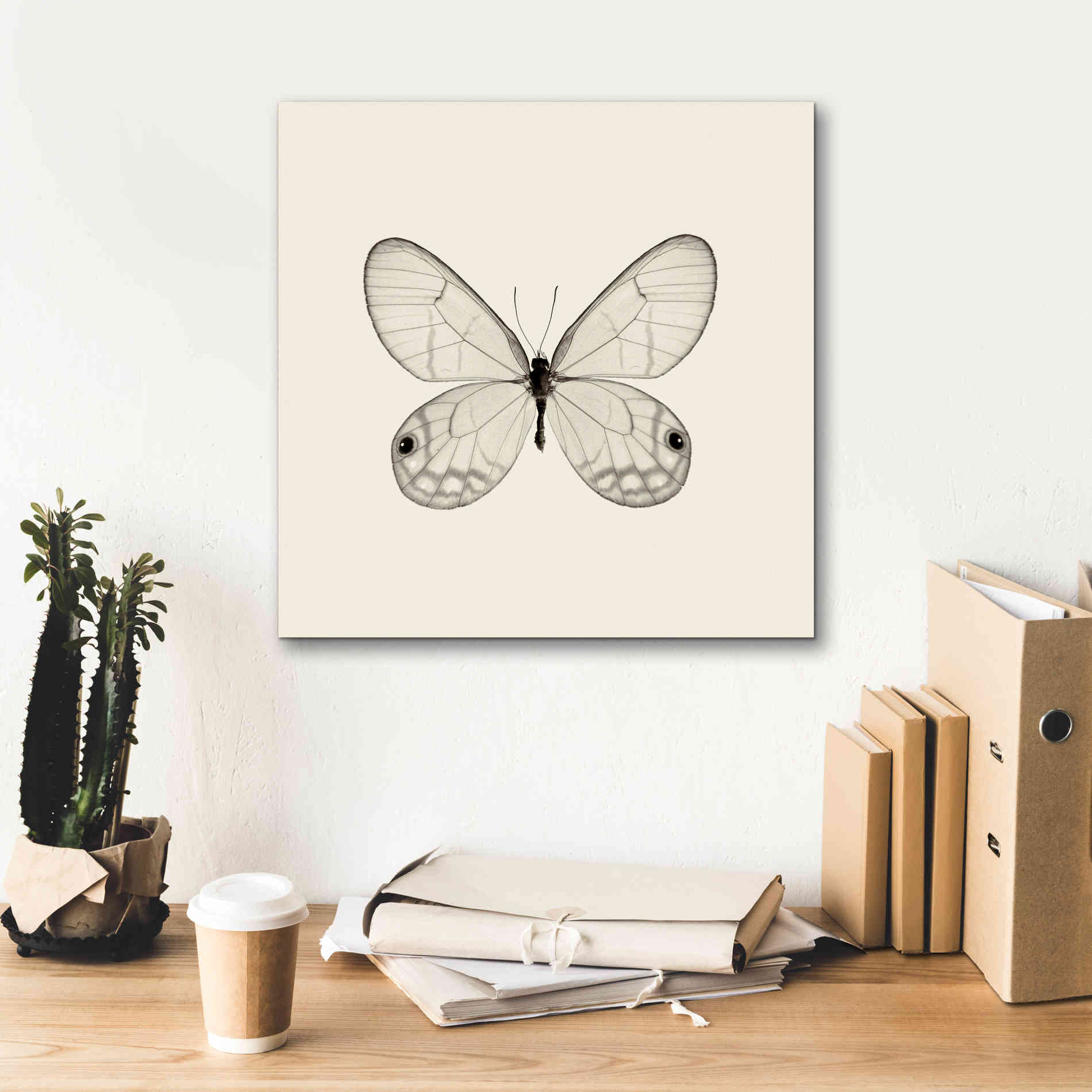 'Butterfly I B&W' by Debra Van Swearingen, Canvas Wall Art,18 x 18
