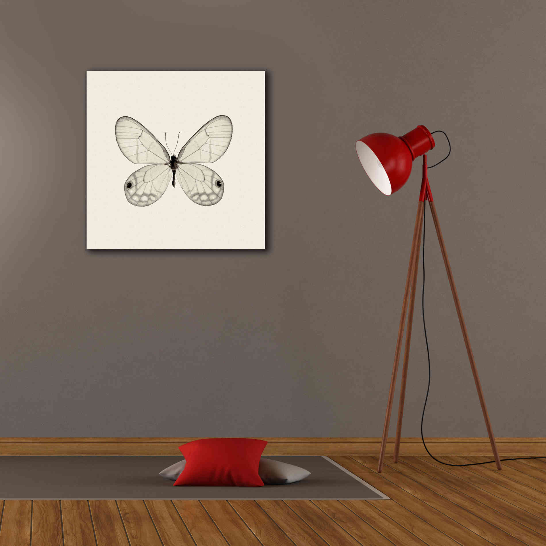 'Butterfly I B&W' by Debra Van Swearingen, Canvas Wall Art,26 x 26