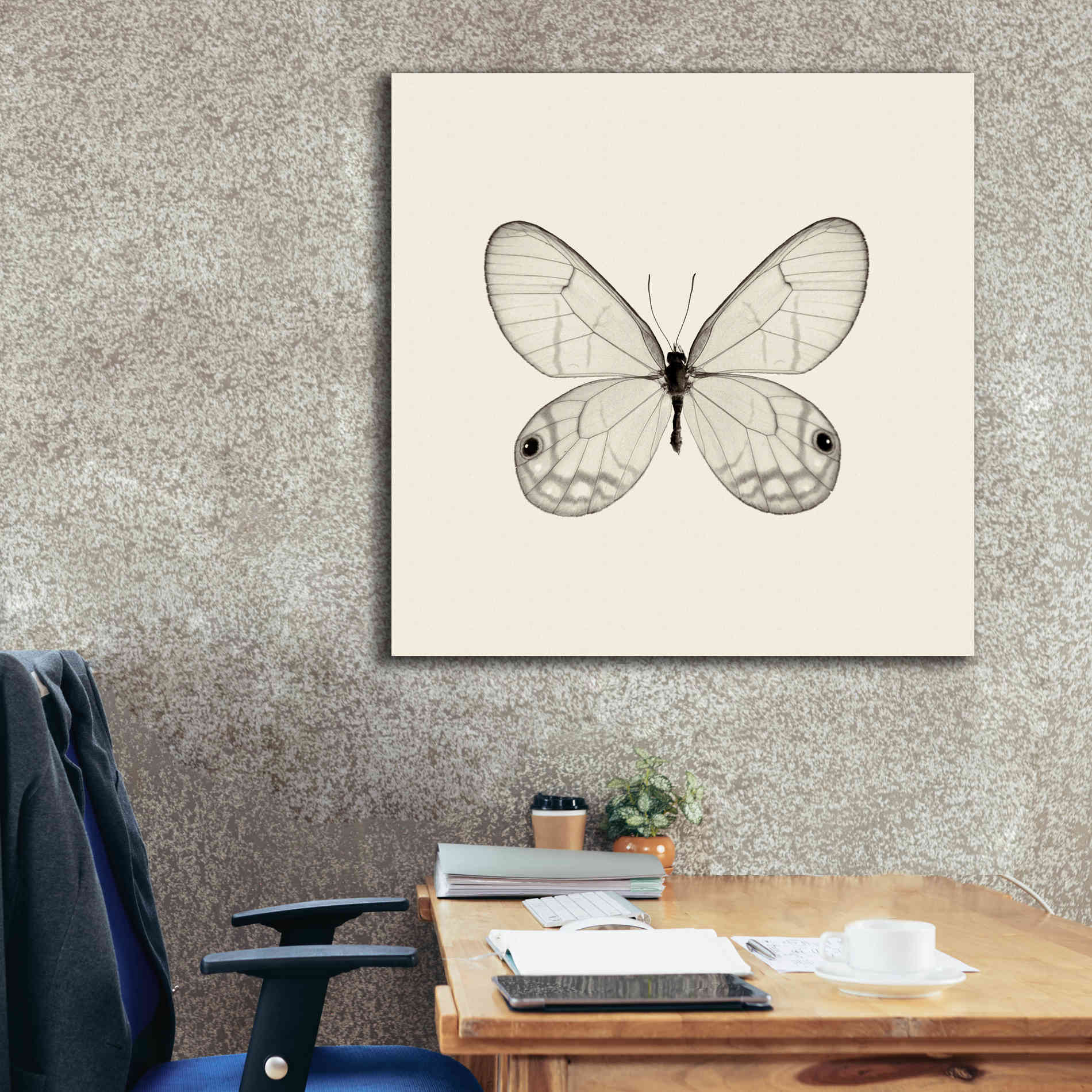 'Butterfly I B&W' by Debra Van Swearingen, Canvas Wall Art,37 x 37