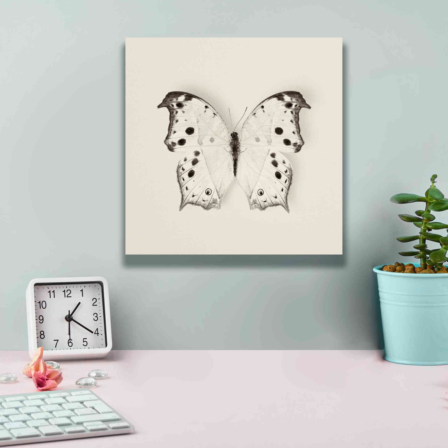 'Butterfly IV B&W' by Debra Van Swearingen, Canvas Wall Art,12 x 12