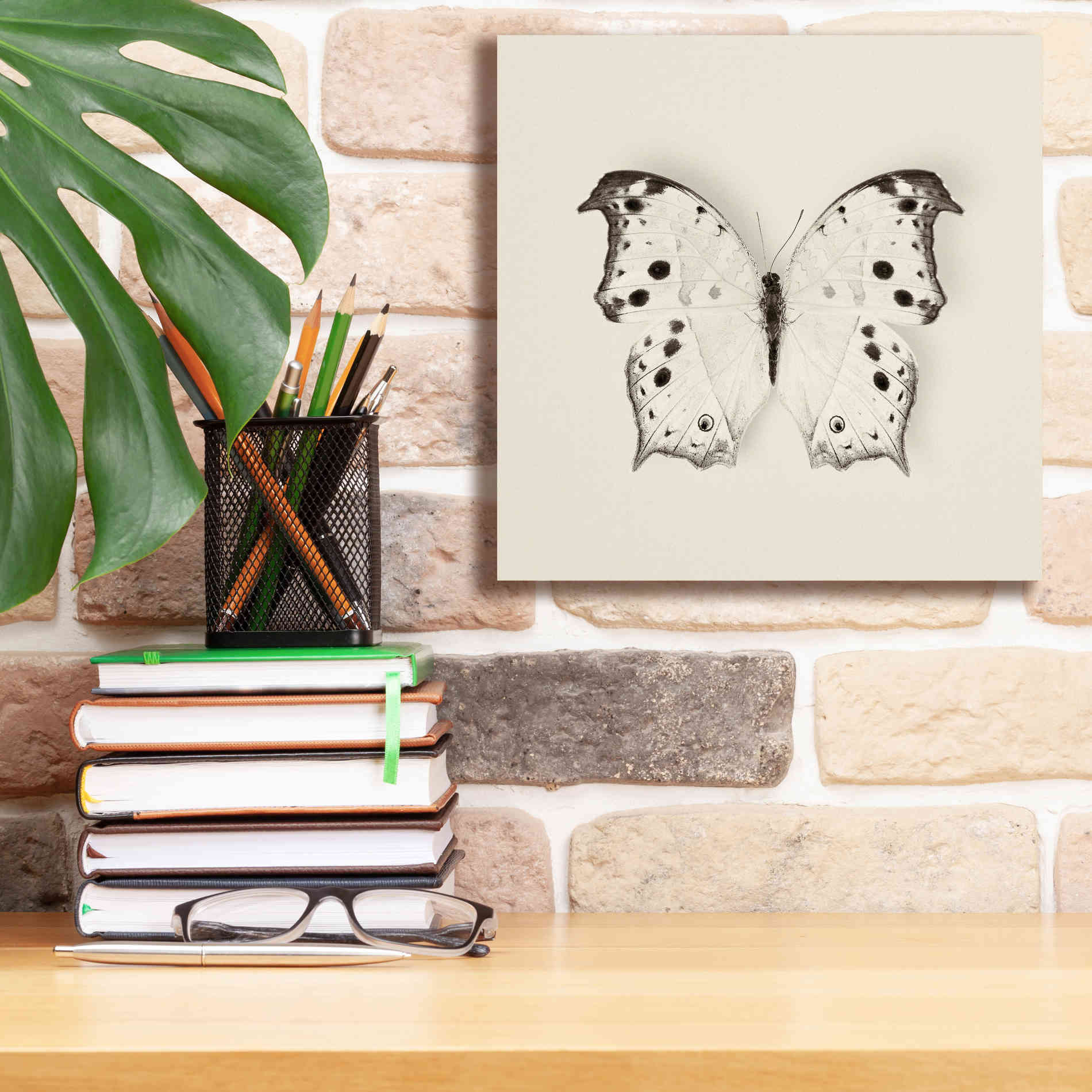 'Butterfly IV B&W' by Debra Van Swearingen, Canvas Wall Art,12 x 12