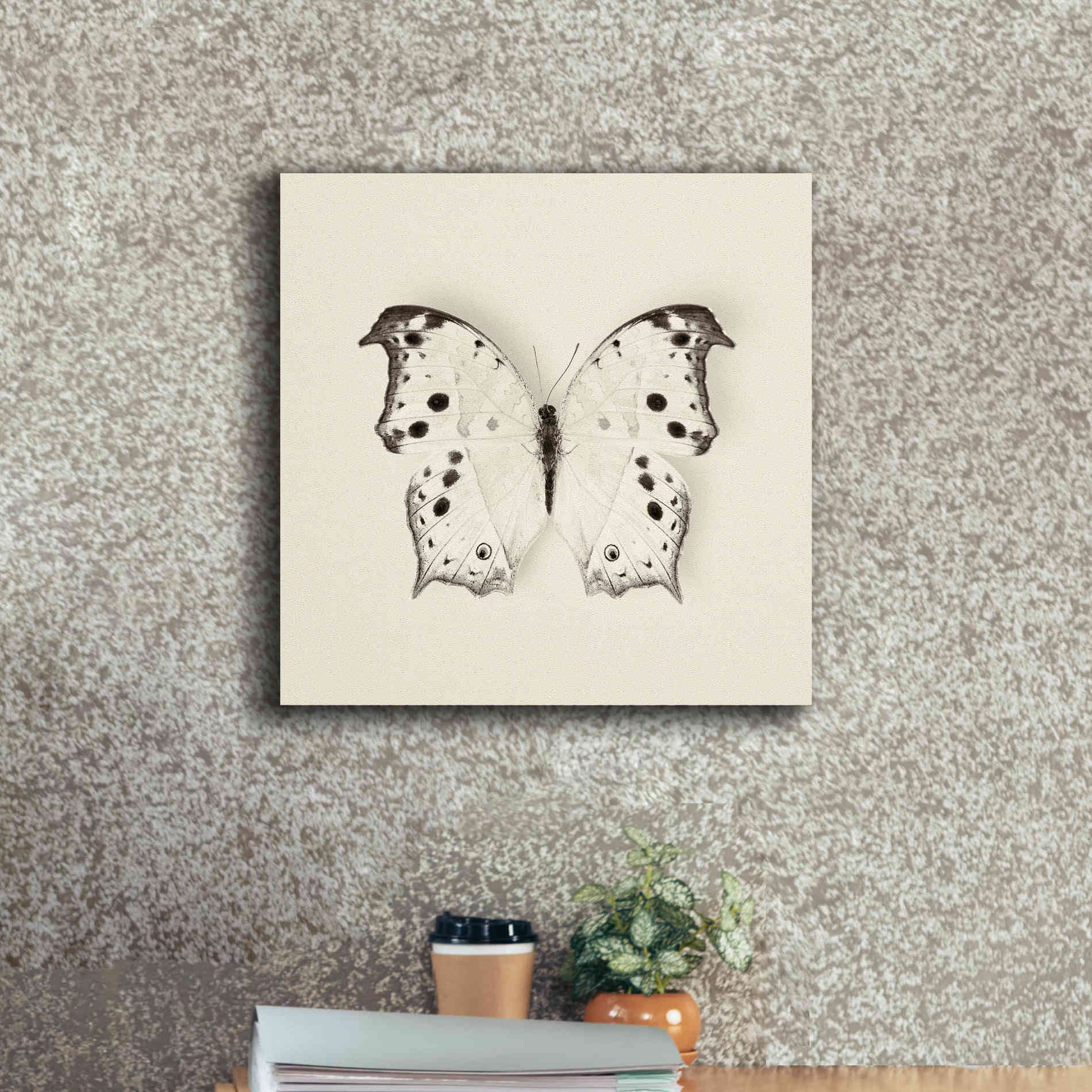 'Butterfly IV B&W' by Debra Van Swearingen, Canvas Wall Art,18 x 18