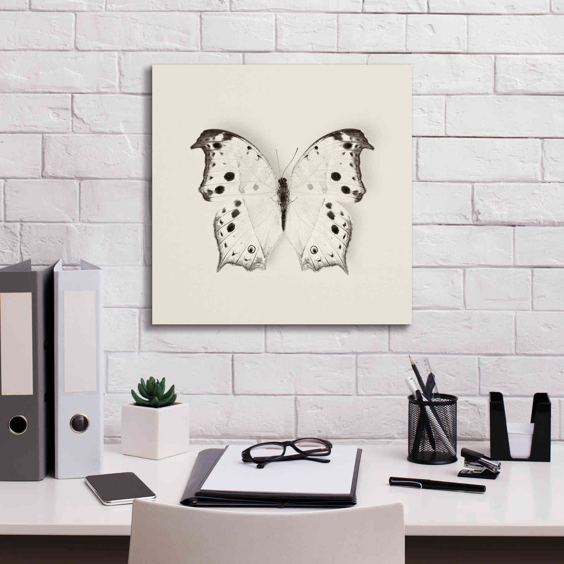 'Butterfly IV B&W' by Debra Van Swearingen, Canvas Wall Art,18 x 18