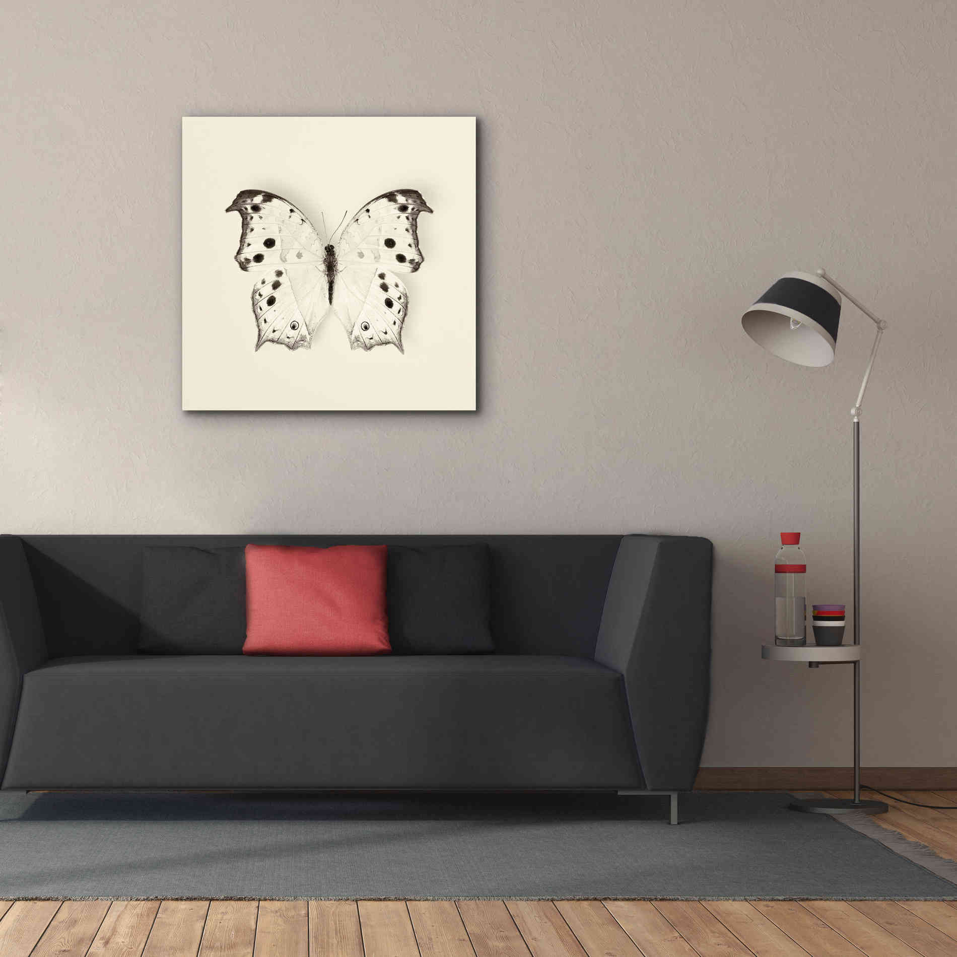 'Butterfly IV B&W' by Debra Van Swearingen, Canvas Wall Art,37 x 37