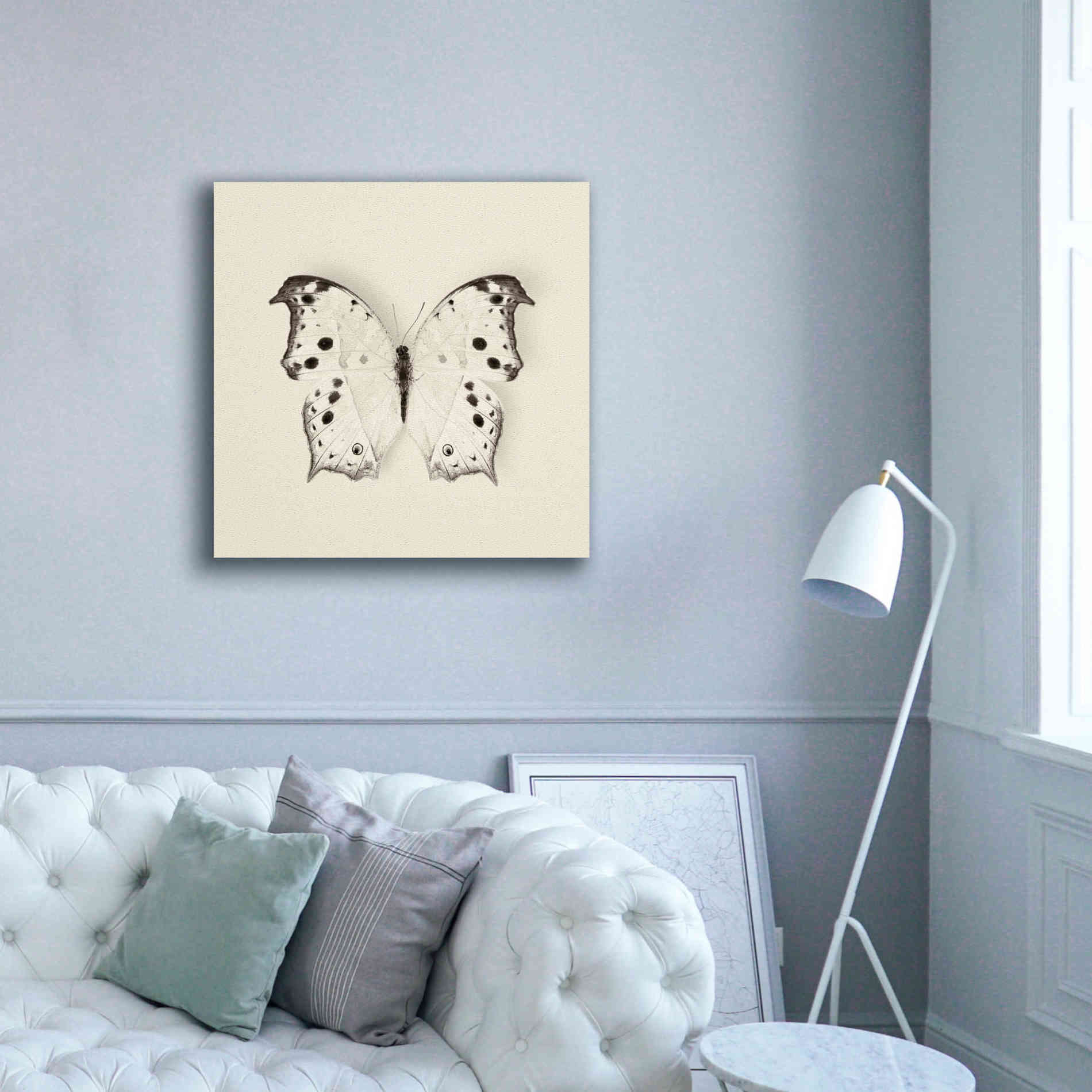 'Butterfly IV B&W' by Debra Van Swearingen, Canvas Wall Art,37 x 37