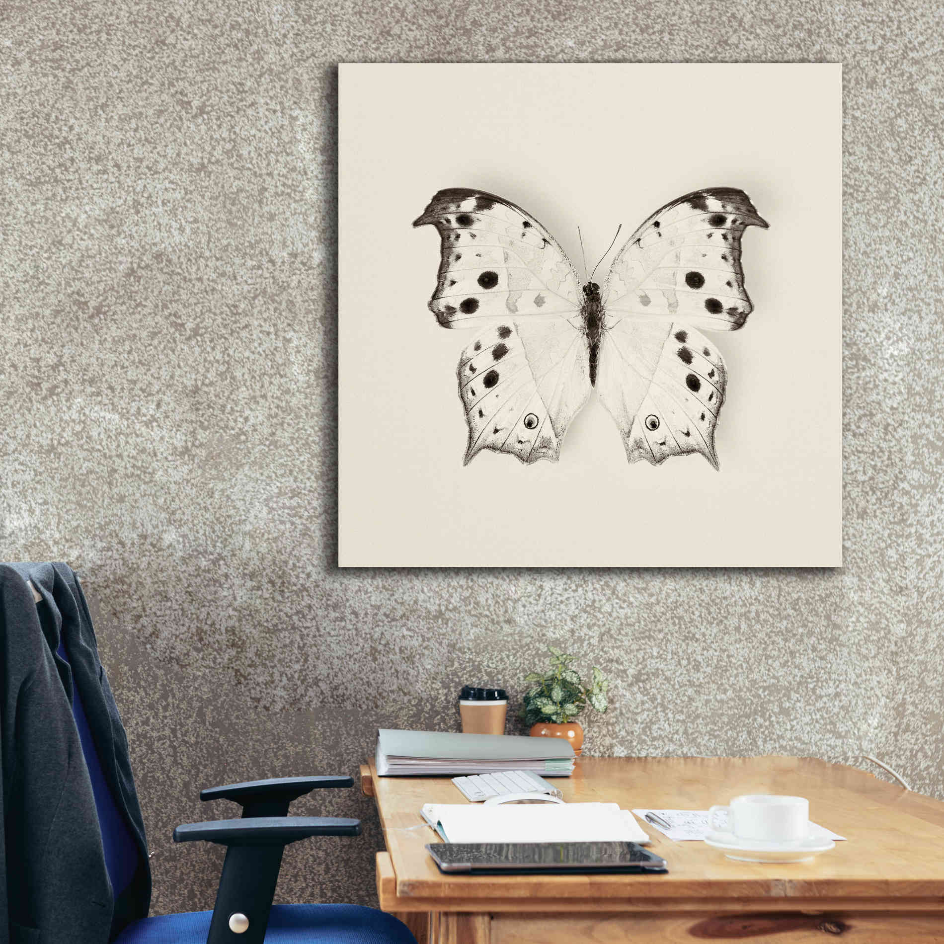 'Butterfly IV B&W' by Debra Van Swearingen, Canvas Wall Art,37 x 37