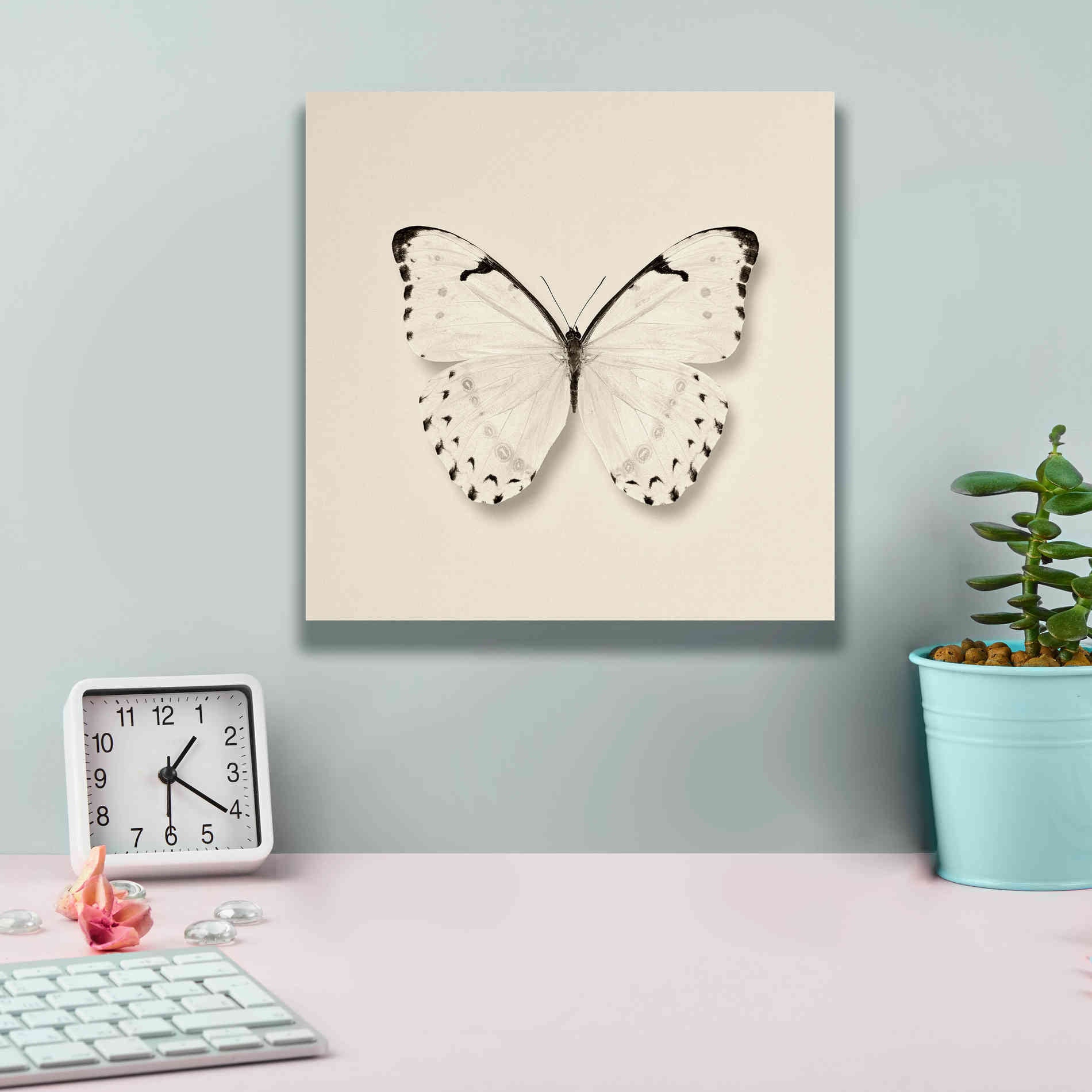 'Butterfly II B&W' by Debra Van Swearingen, Canvas Wall Art,12 x 12