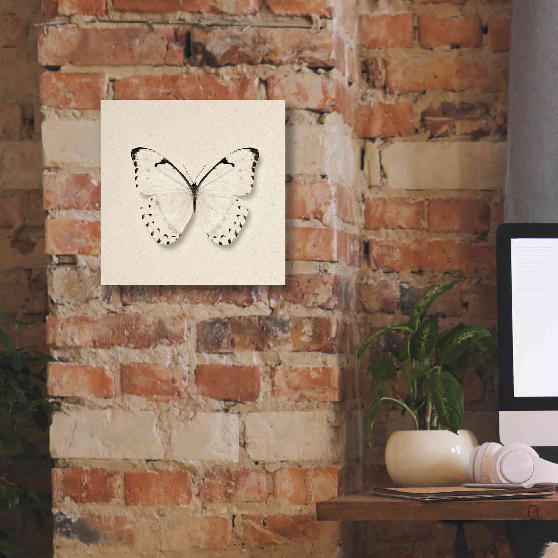 'Butterfly II B&W' by Debra Van Swearingen, Canvas Wall Art,12 x 12