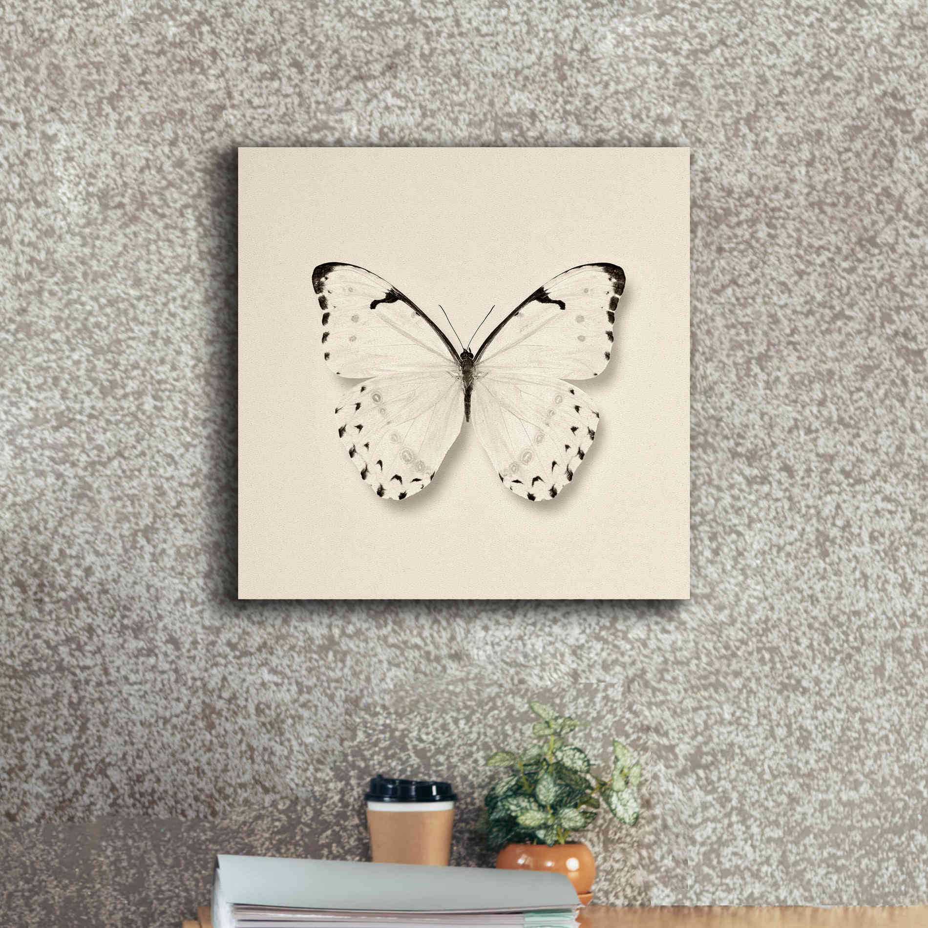 'Butterfly II B&W' by Debra Van Swearingen, Canvas Wall Art,18 x 18