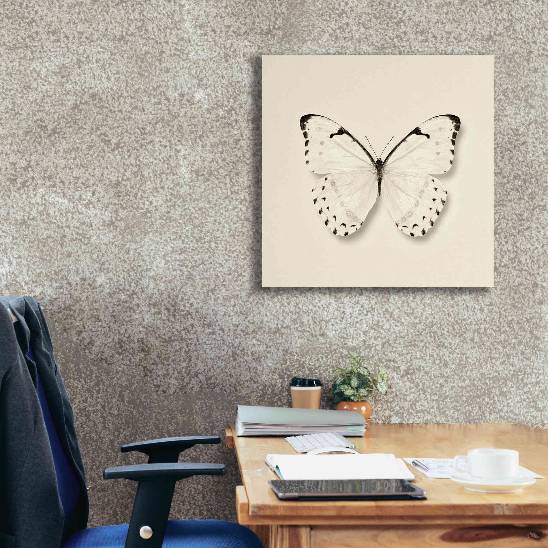 'Butterfly II B&W' by Debra Van Swearingen, Canvas Wall Art,26 x 26