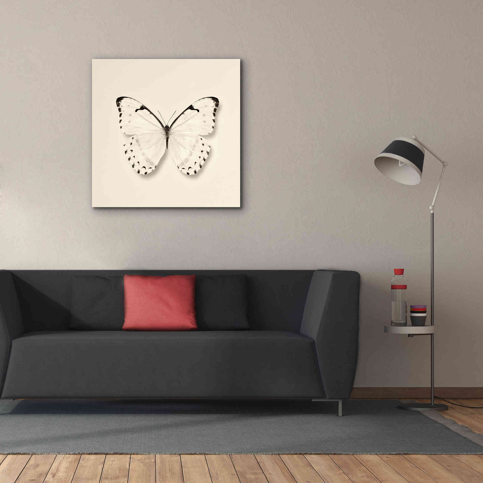 'Butterfly II B&W' by Debra Van Swearingen, Canvas Wall Art,37 x 37