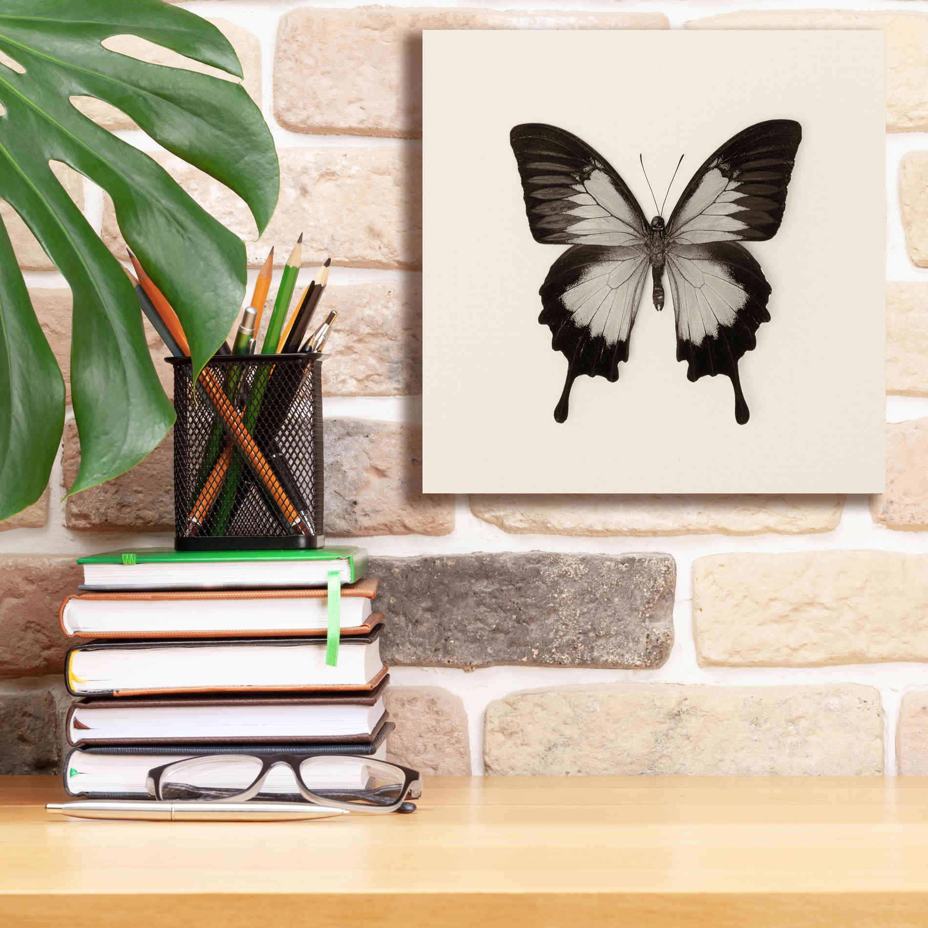 'Butterfly III B&W' by Debra Van Swearingen, Canvas Wall Art,12 x 12